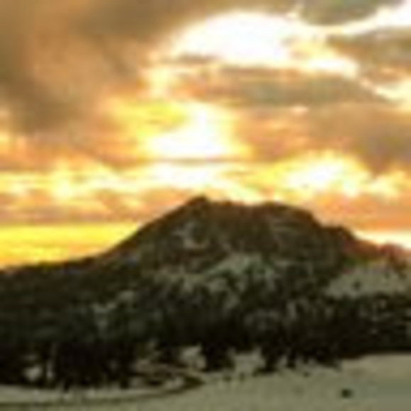 Meet your Posher, Kevin - Picture 1 of 1